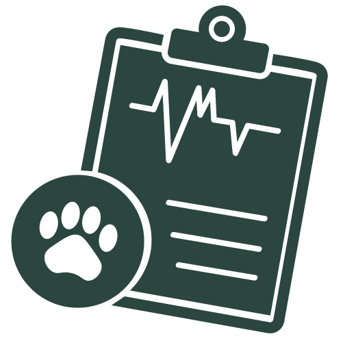 Fast Assessment icon