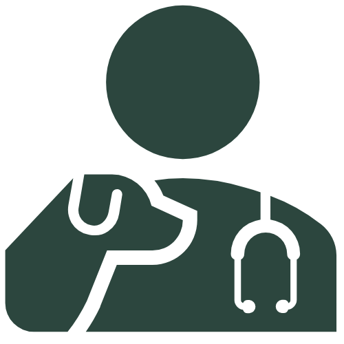 Long-Term Support icon