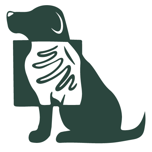 Imaging Support icon